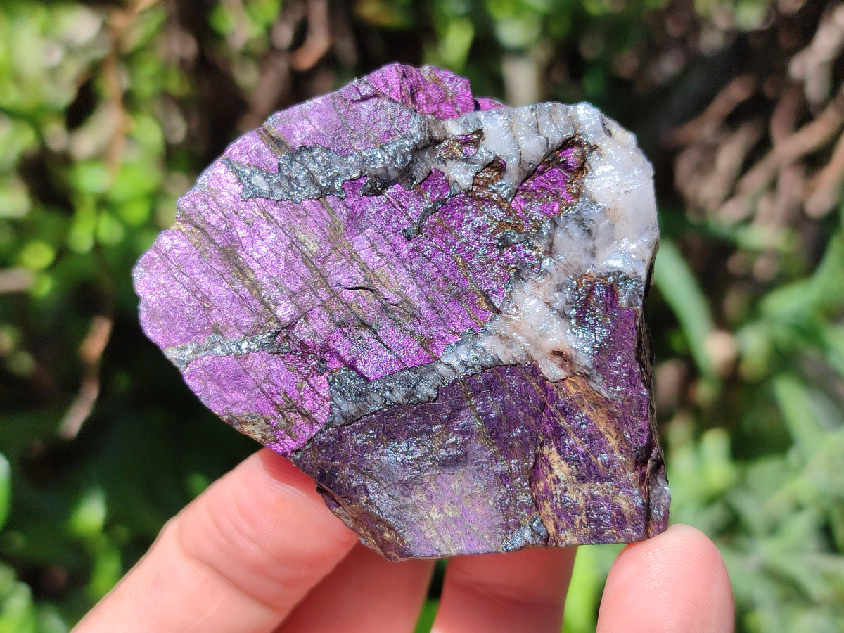 Natural Metallic Purpurite Specimens x 12 From Erongo, Namibia