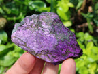 Natural Metallic Purpurite Specimens x 12 From Erongo, Namibia