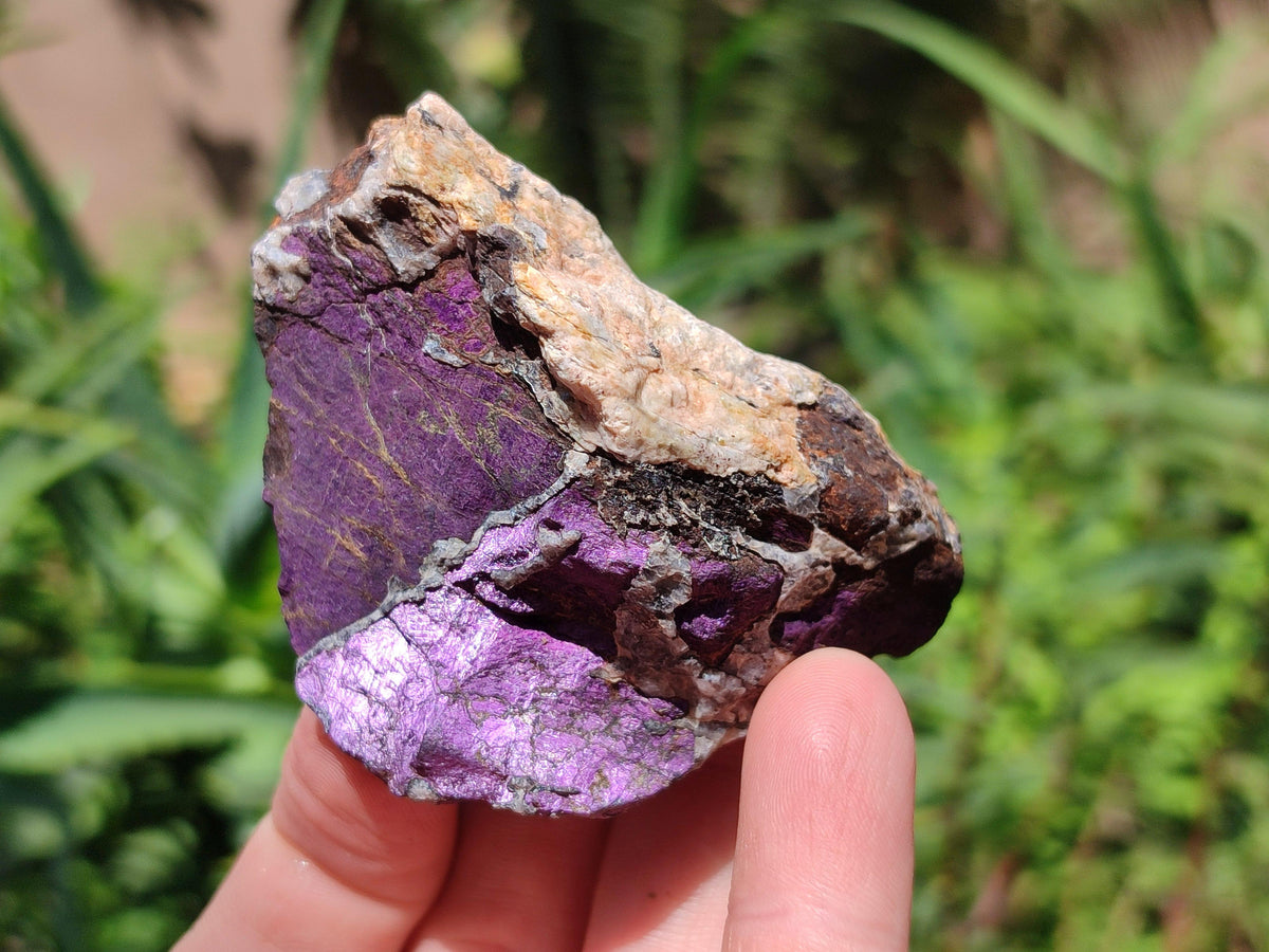 Natural Metallic Purpurite Specimens x 12 From Erongo, Namibia