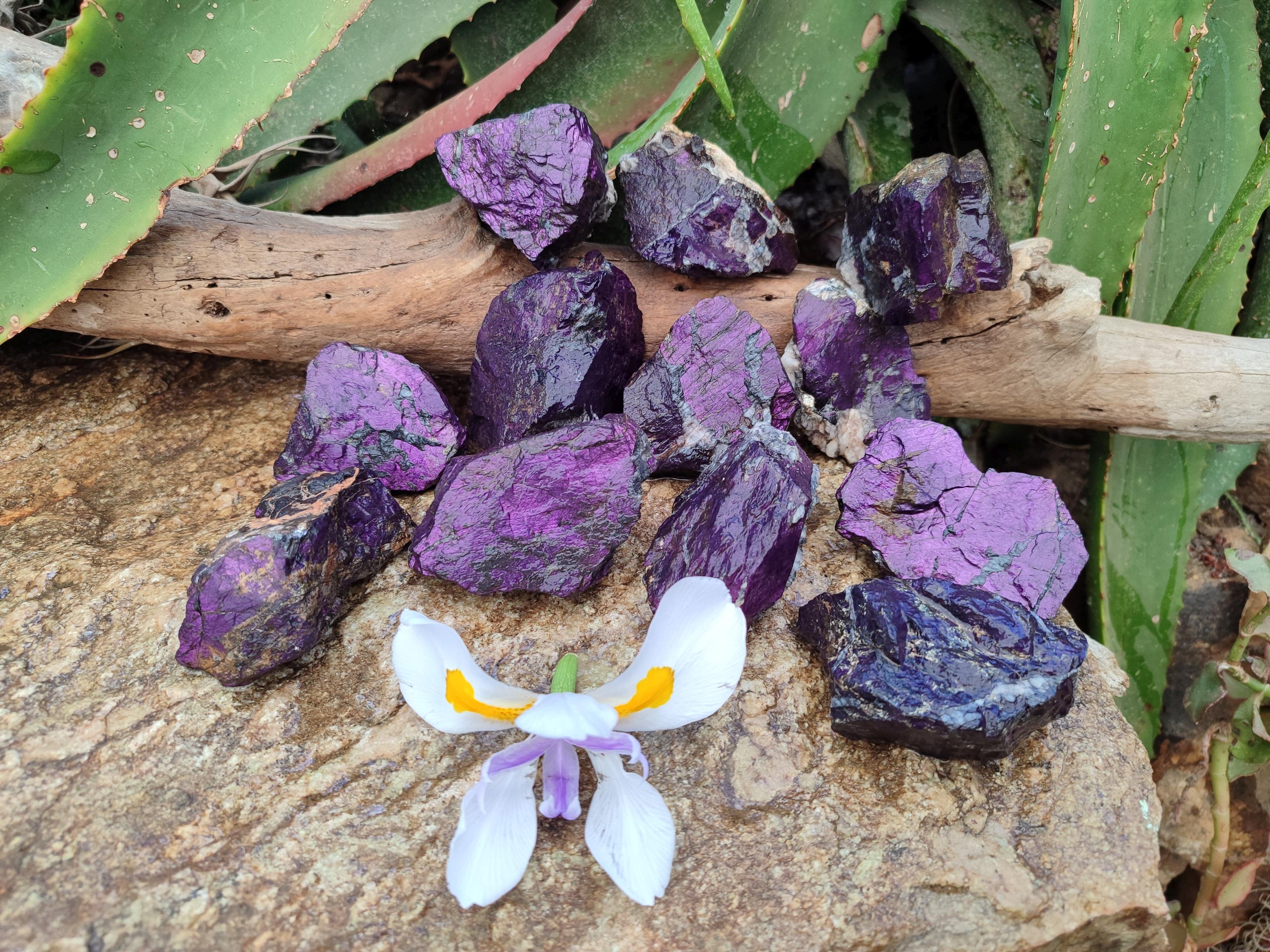 Natural Metallic Purpurite Specimens x 12 From Erongo, Namibia