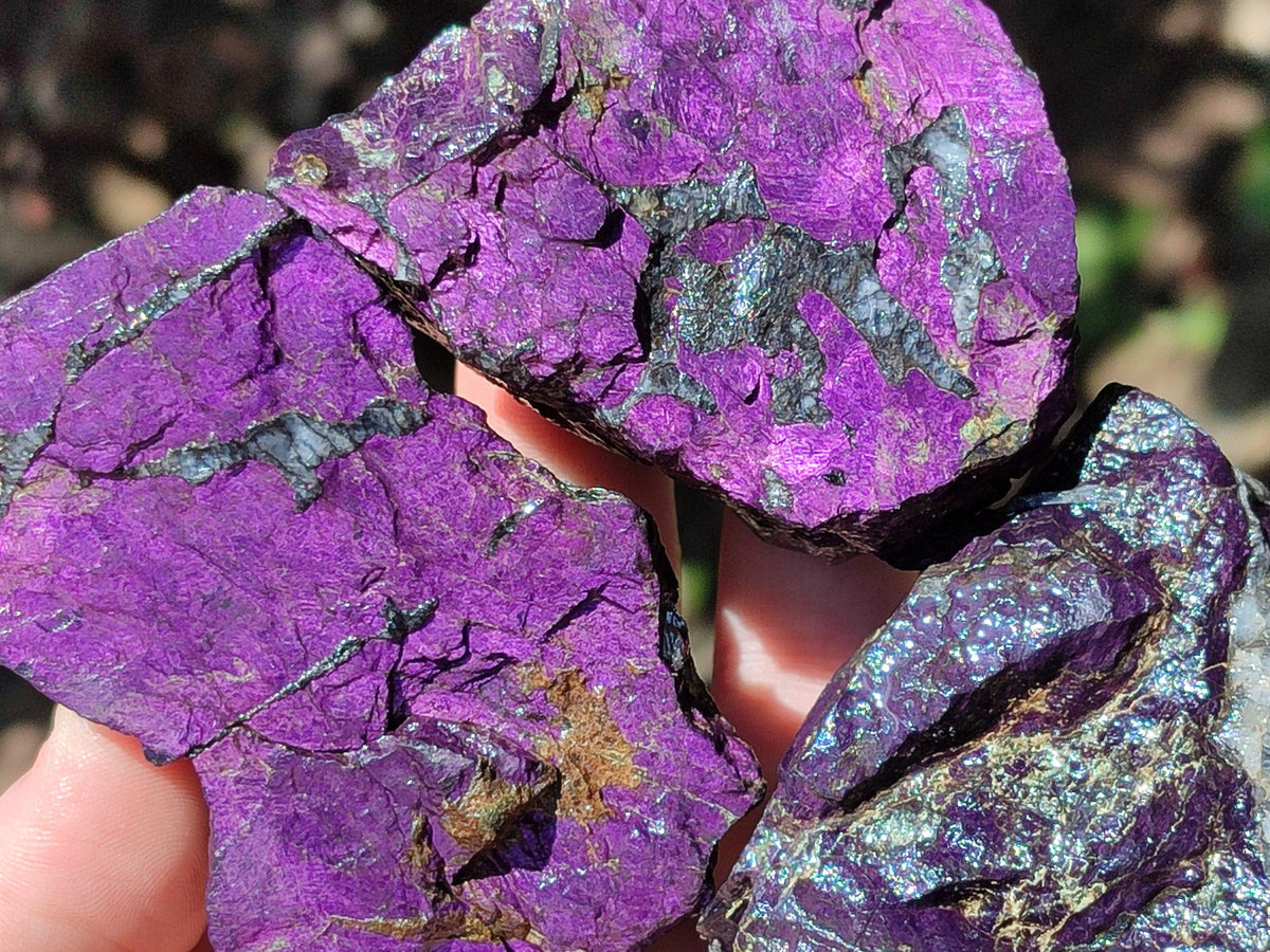 Natural Metallic Purpurite Specimens x 12 From Erongo, Namibia