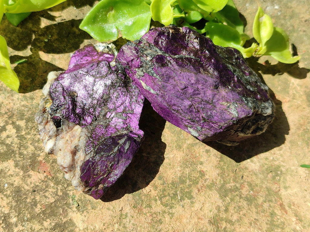 Natural Metallic Purpurite Specimens x 12 From Erongo, Namibia