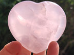 Polished Rose Quartz Hearts x 6 From Madagascar