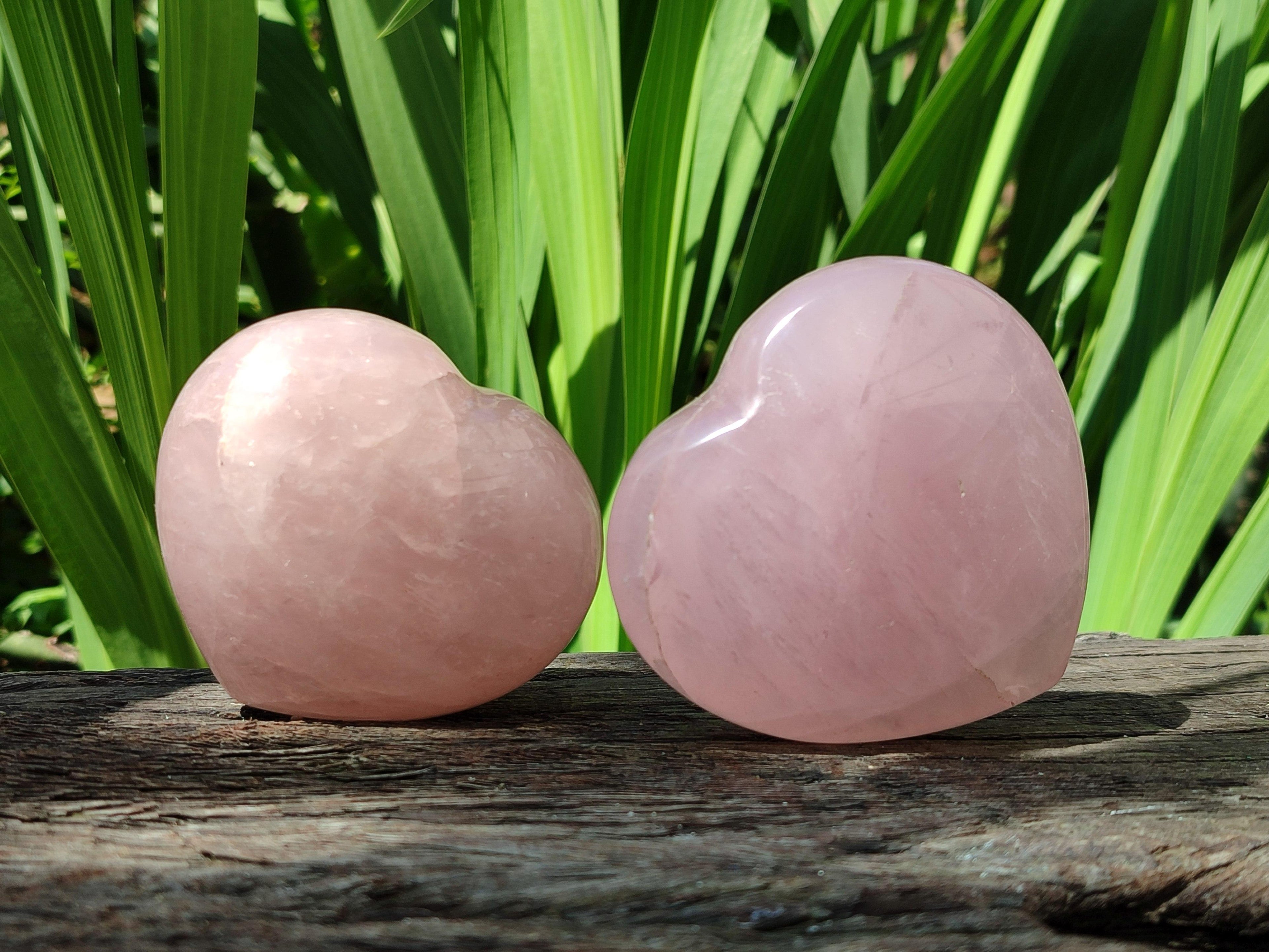 Polished Rose Quartz Hearts x 6 From Madagascar