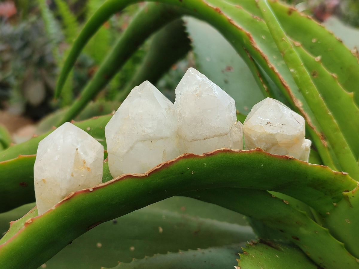 Natural Cascading White Candle Quartz Crystals x 70 From Antsirabe, Madagascar