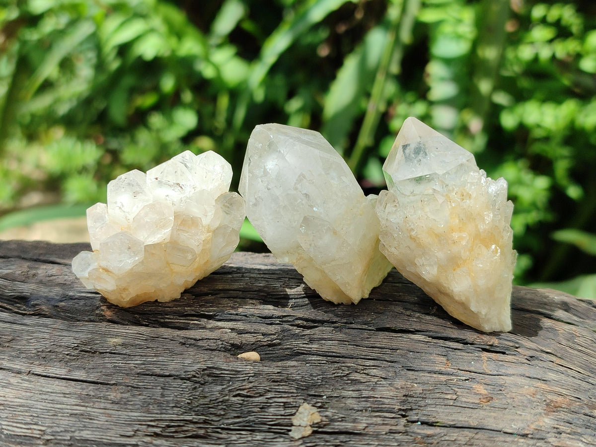 Natural Cascading White Candle Quartz Crystals x 70 From Antsirabe, Madagascar
