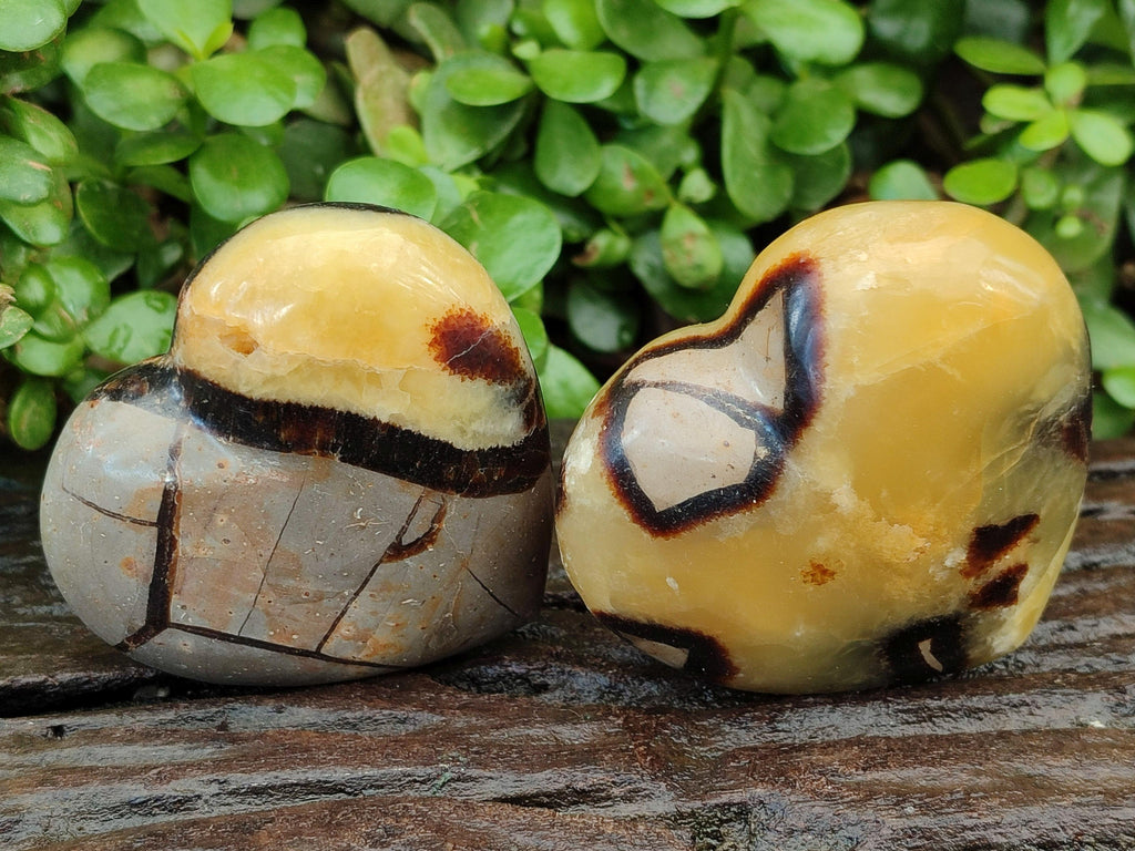 Polished Septerye Hearts x 6 From Mahajanga, Madagascar