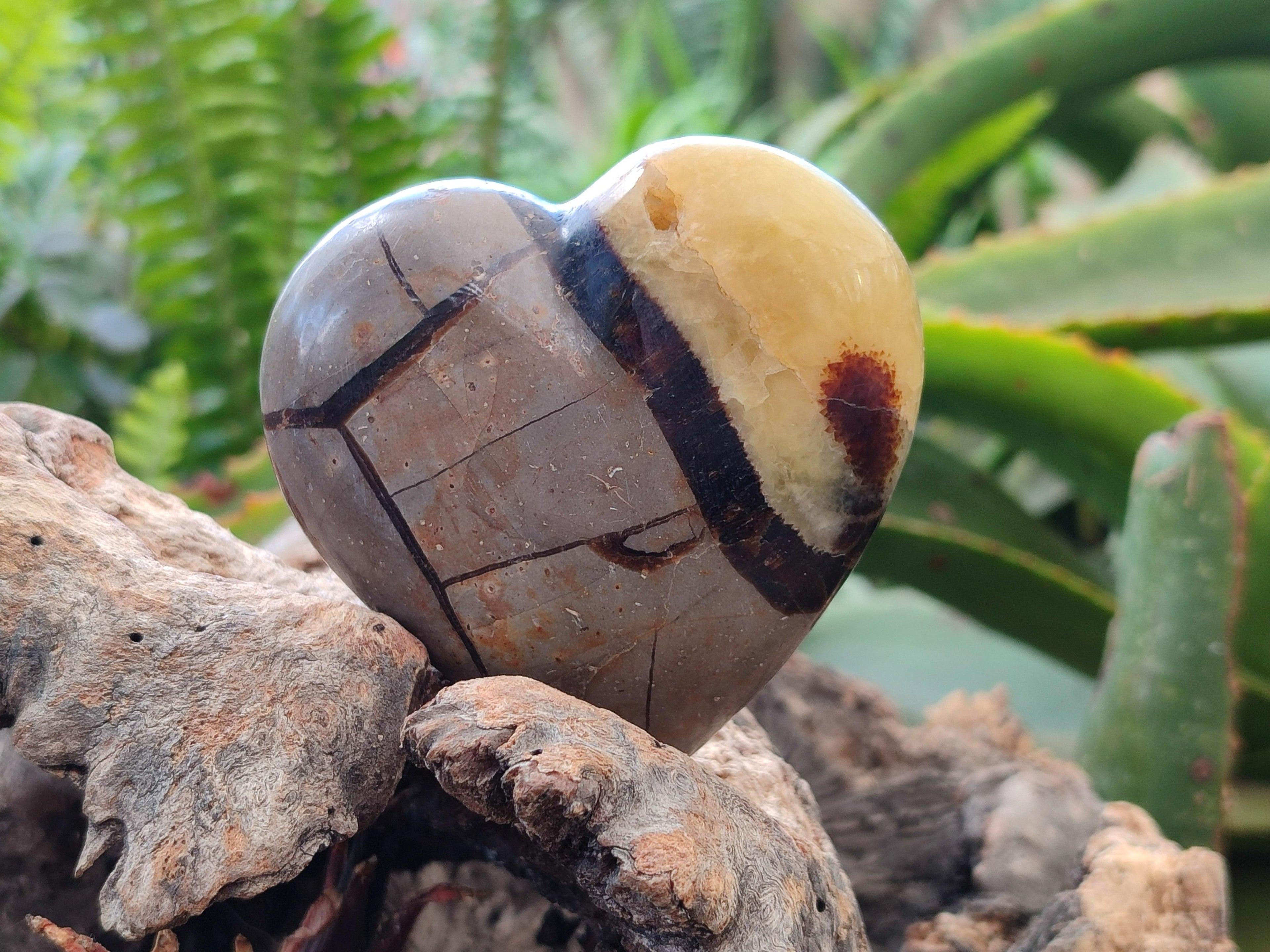 Polished Septerye Hearts x 6 From Mahajanga, Madagascar