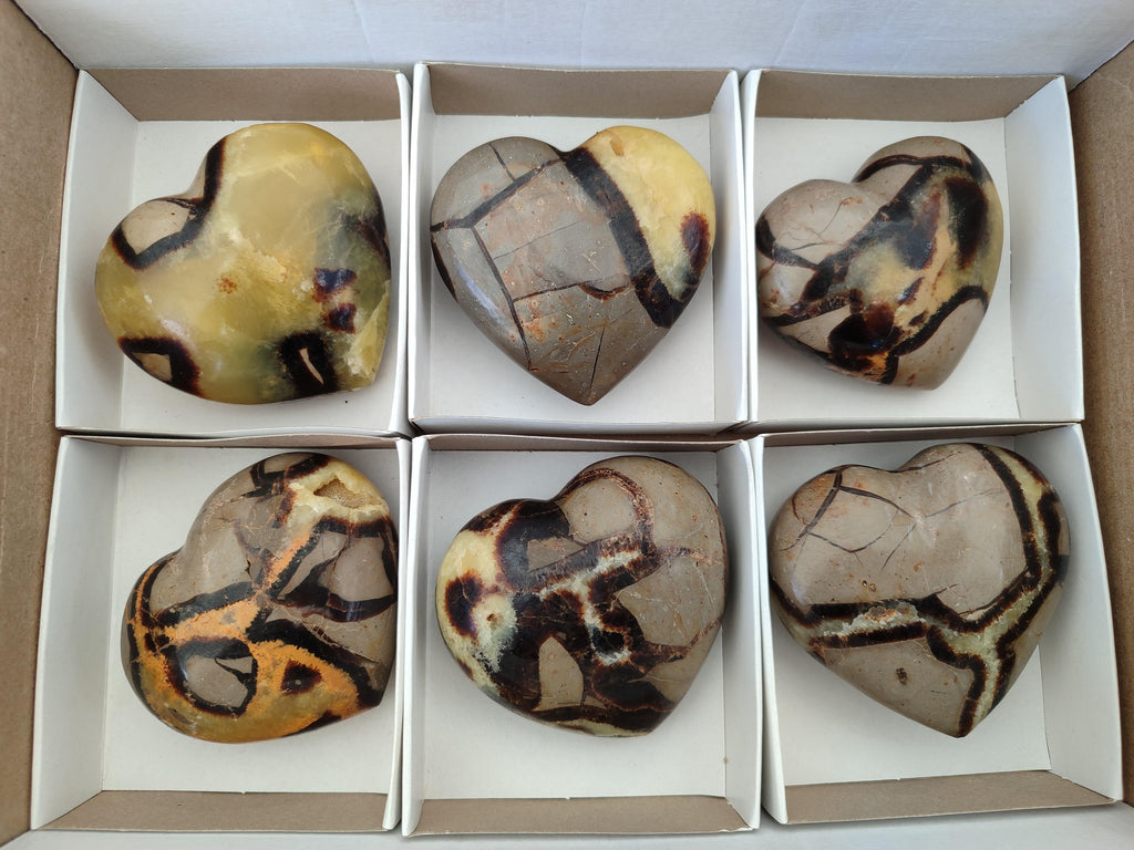 Polished Septerye Hearts x 6 From Mahajanga, Madagascar
