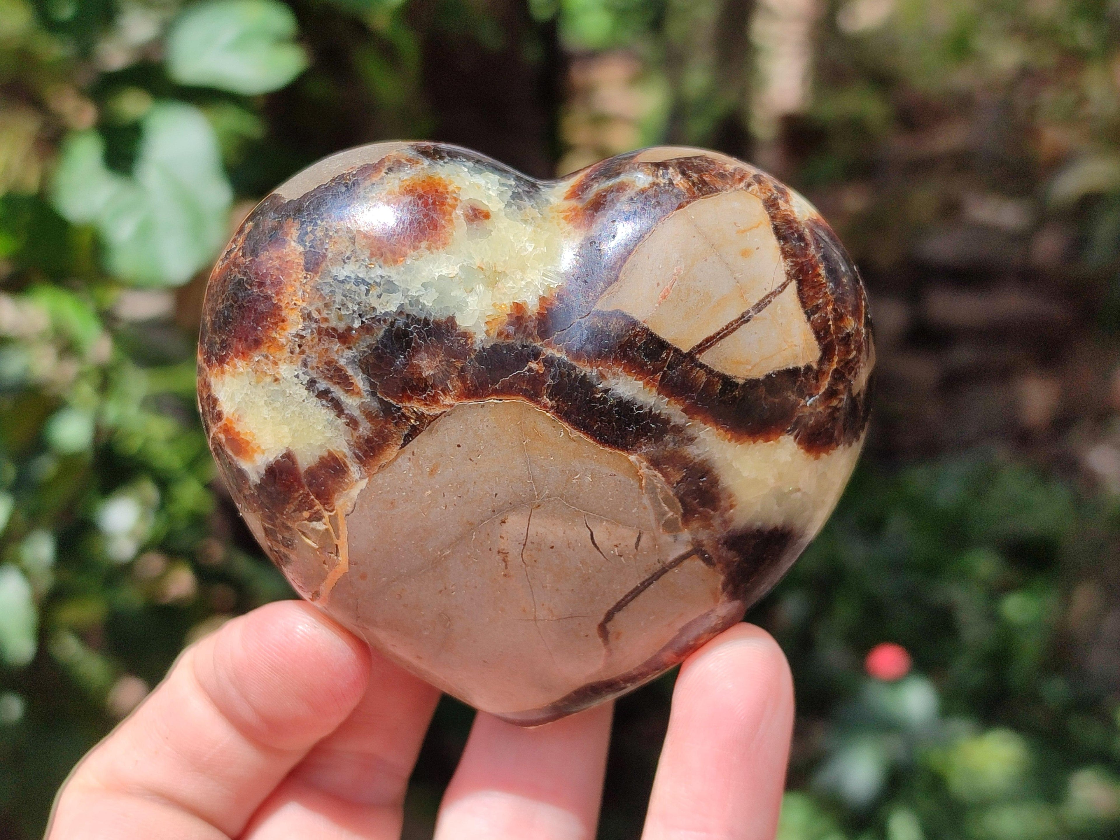 Polished Septerye Hearts x 6 From Mahajanga, Madagascar