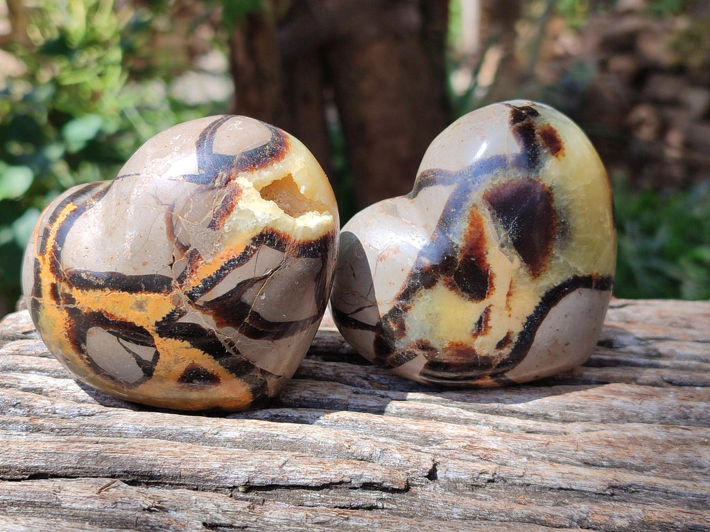 Polished Septerye Hearts x 6 From Mahajanga, Madagascar