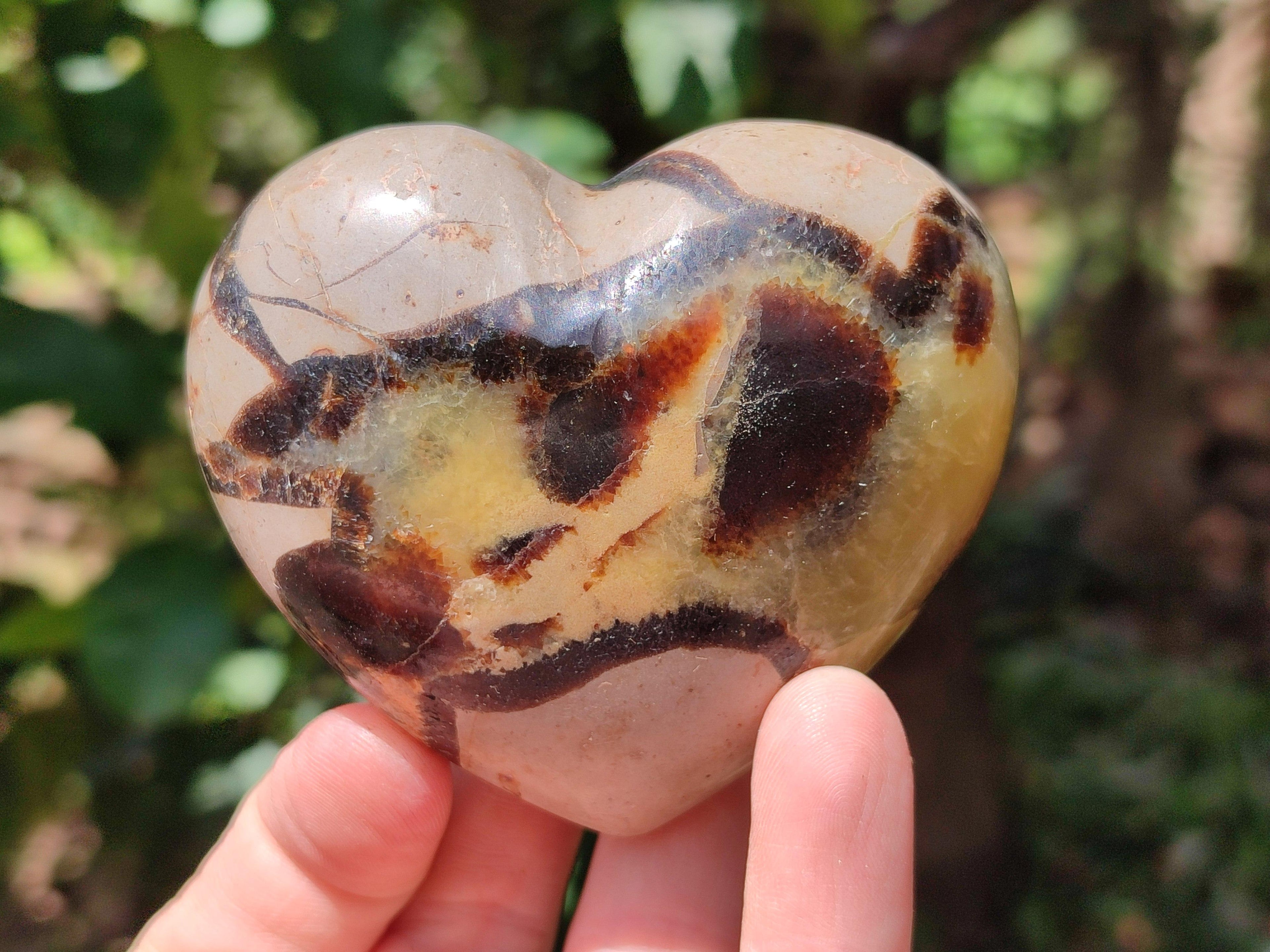 Polished Septerye Hearts x 6 From Mahajanga, Madagascar