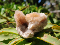 Natural Mixture Of Spirit Quartz Crystals And Clusters x 54 From Boekenhouthoek, South Africa