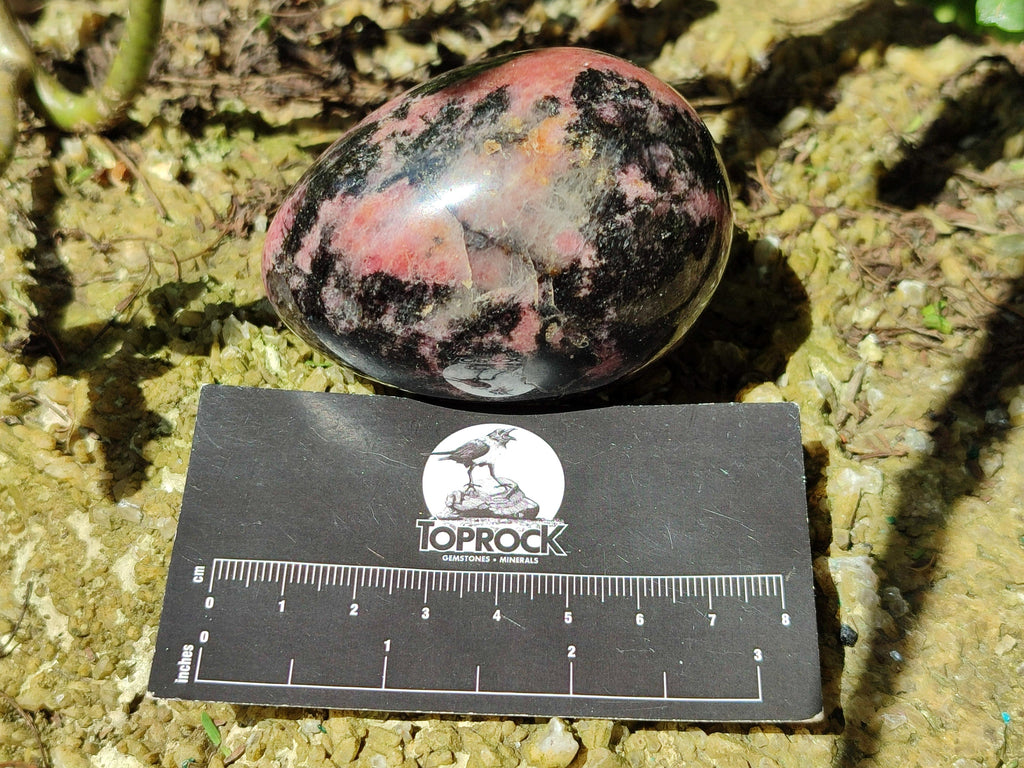 Polished Rhodonite Eggs x 6 From Ambindavato, Madagascar