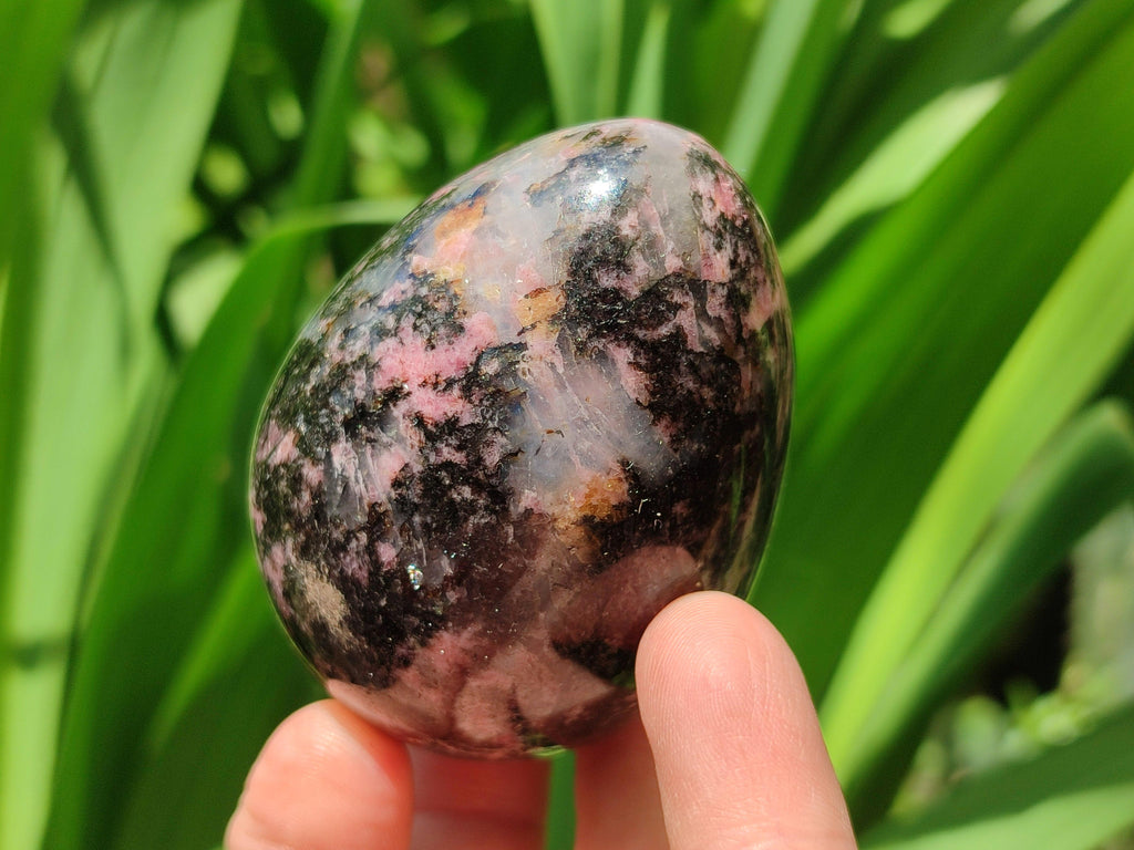 Polished Rhodonite Eggs x 6 From Ambindavato, Madagascar