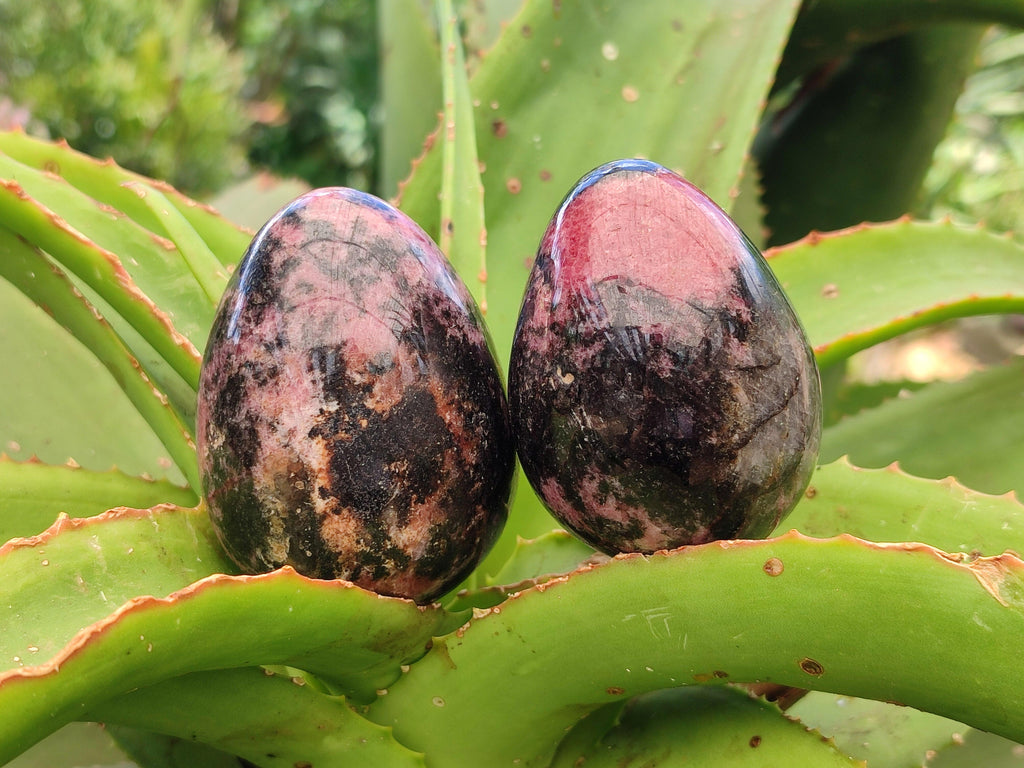 Polished Rhodonite Eggs x 6 From Ambindavato, Madagascar