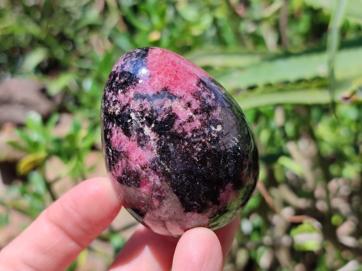 Polished Rhodonite Eggs x 6 From Ambindavato, Madagascar