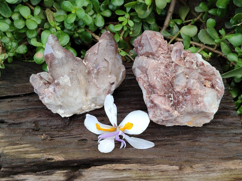 Natural Large Red Hematoid Quartz Clusters x 2 From Karoi, Zimbabwe