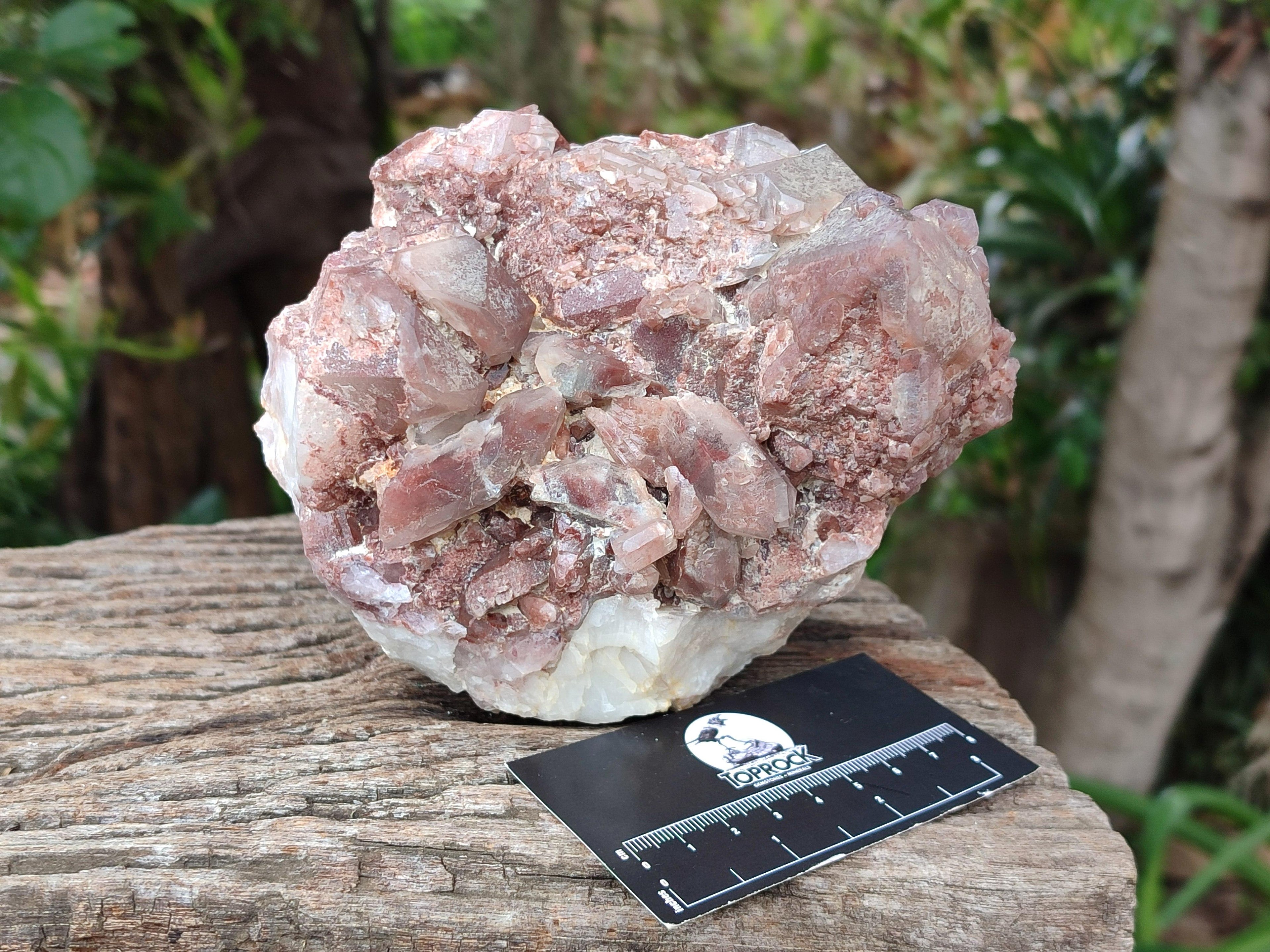 Natural Large Red Hematoid Quartz Clusters x 2 From Karoi, Zimbabwe