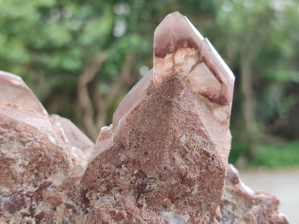 Natural Large Red Hematoid Quartz Clusters x 2 From Karoi, Zimbabwe