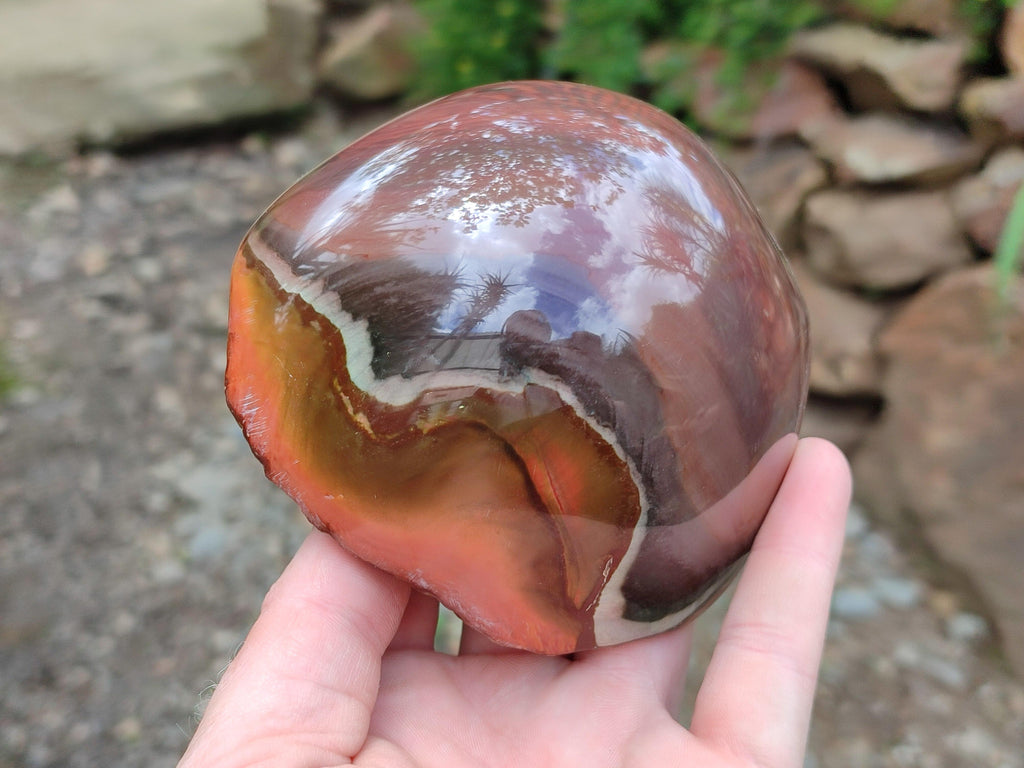 Polished On One Side Polychrome Jasper Nodules x 2 From NW Coast, Madagascar