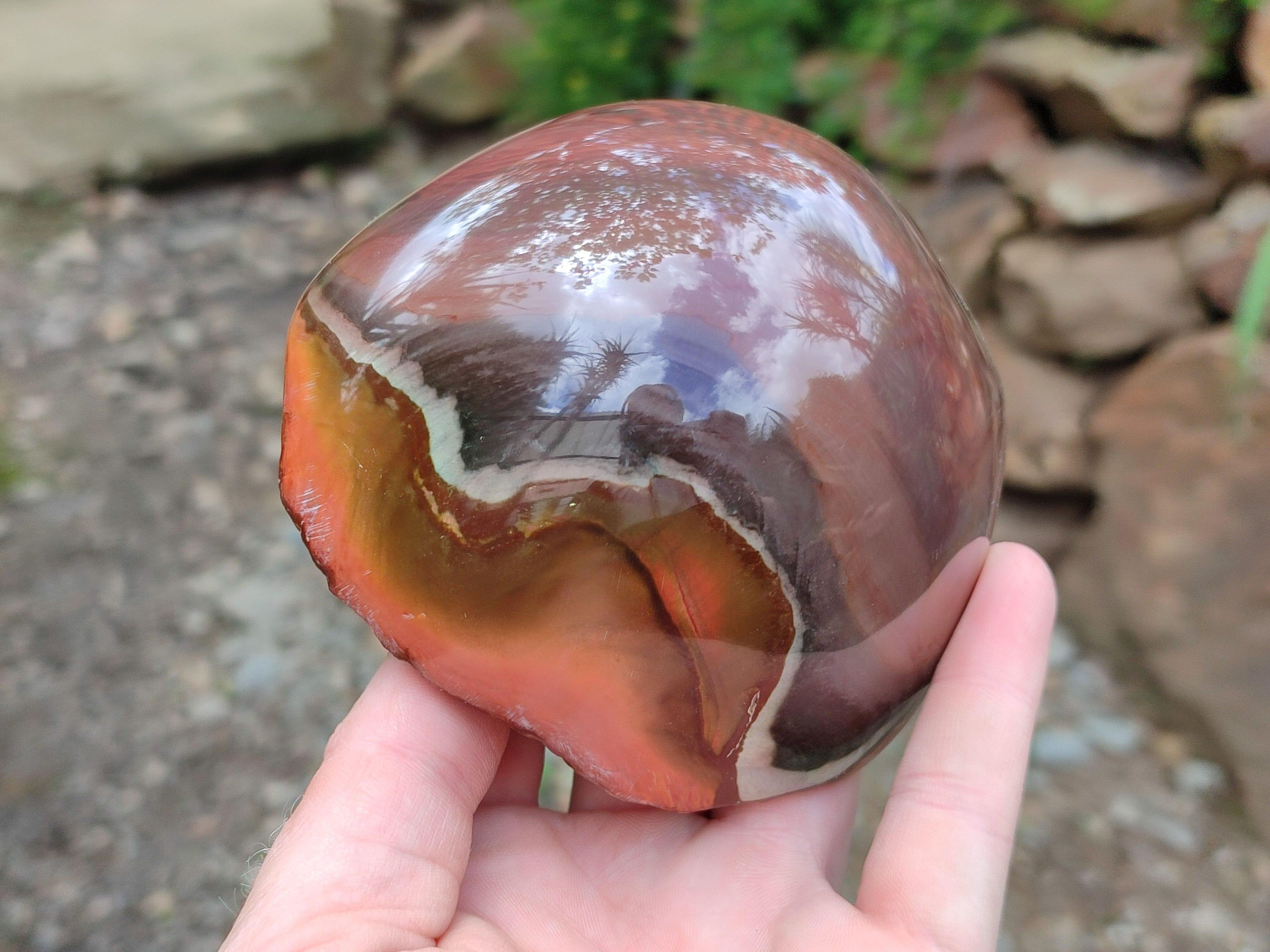 Polished On One Side Polychrome Jasper Nodules x 2 From NW Coast, Madagascar