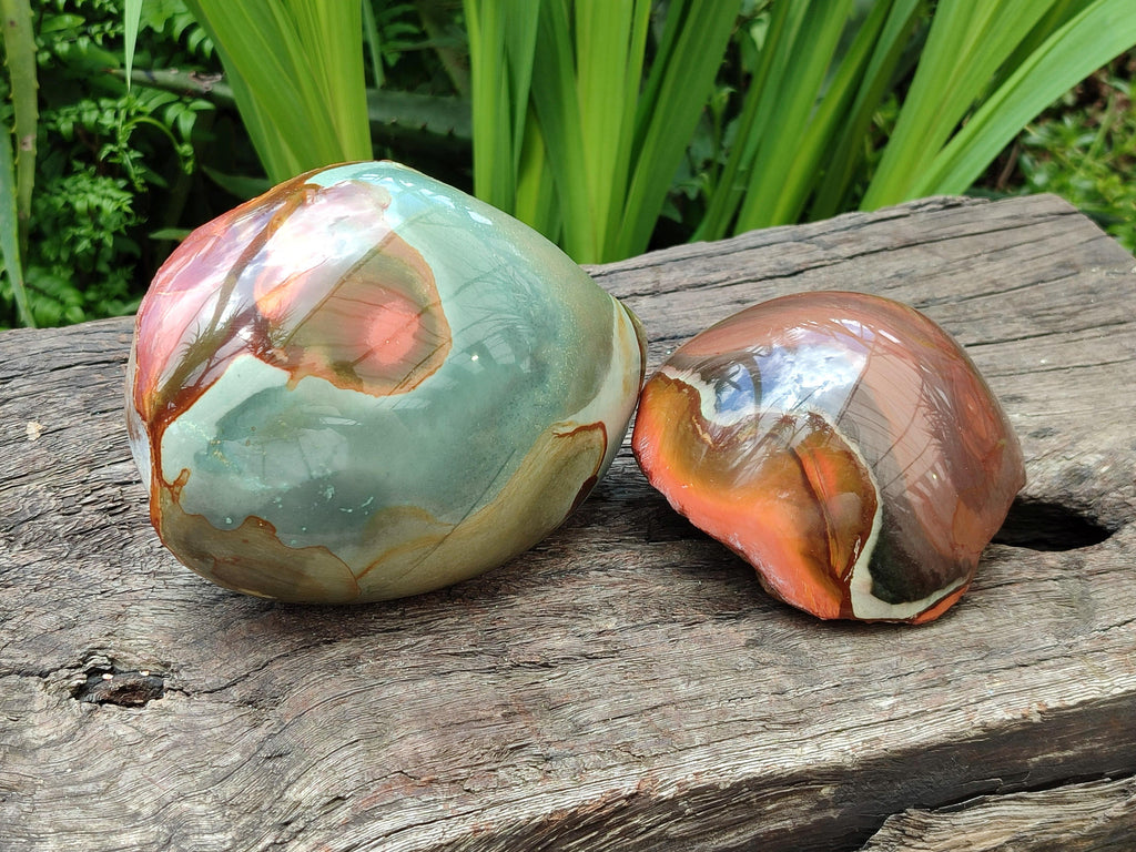 Polished On One Side Polychrome Jasper Nodules x 2 From NW Coast, Madagascar