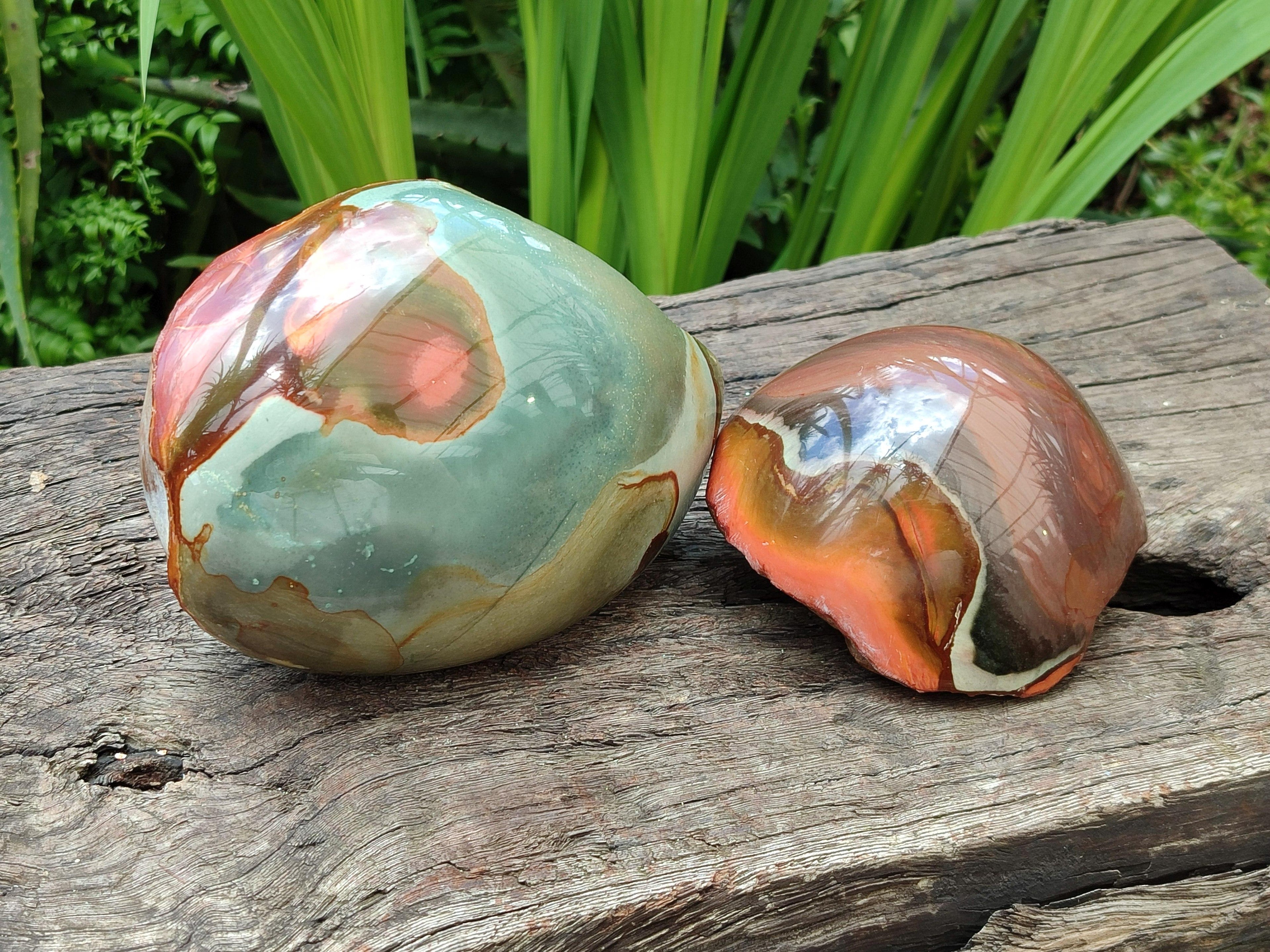 Polished On One Side Polychrome Jasper Nodules x 2 From NW Coast, Madagascar