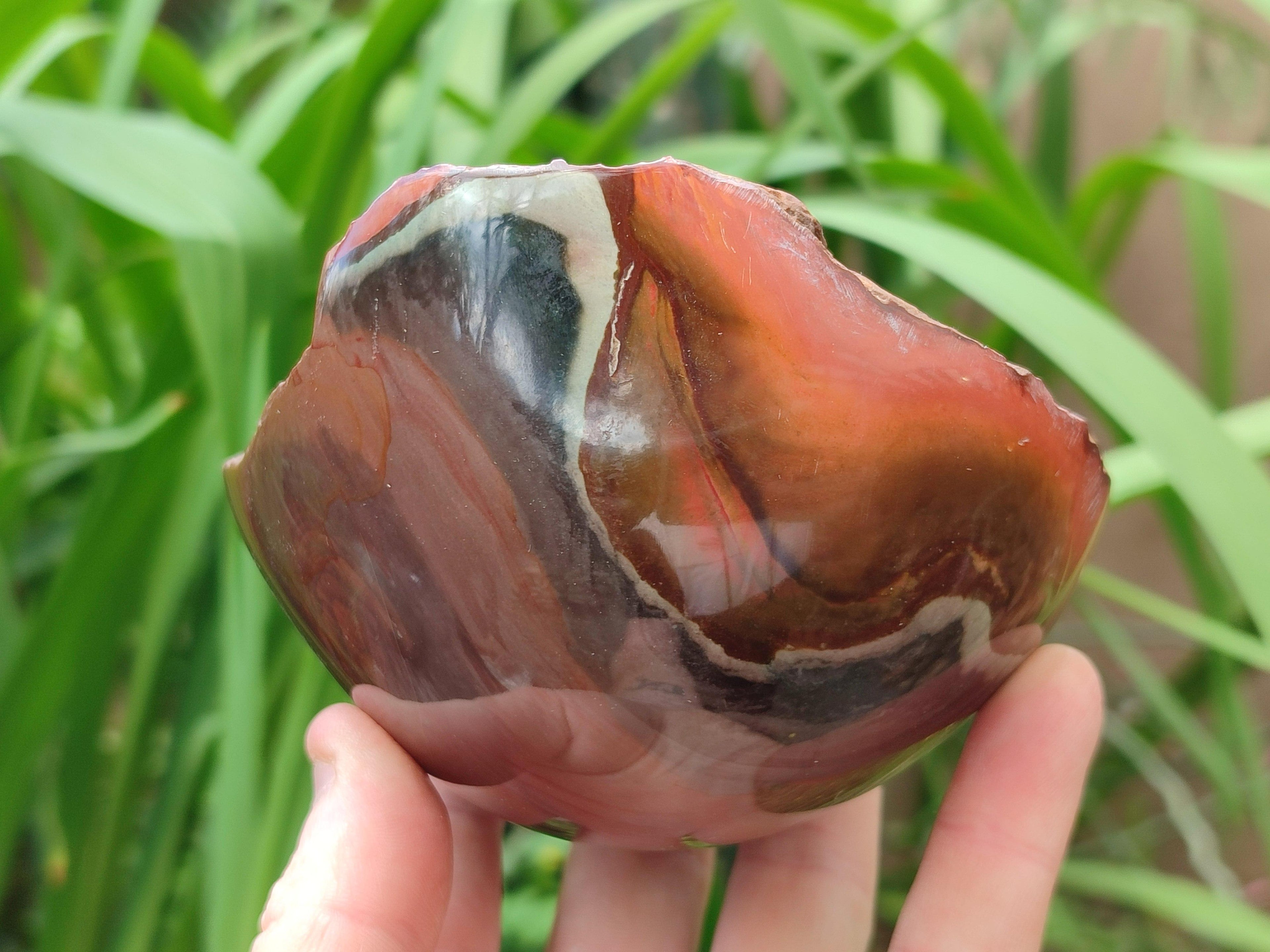 Polished On One Side Polychrome Jasper Nodules x 2 From NW Coast, Madagascar
