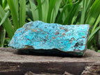 Natural Drusy Coated Chrysocolla On Dolomite Specimen x 1 From Lupoto Mine, Congo