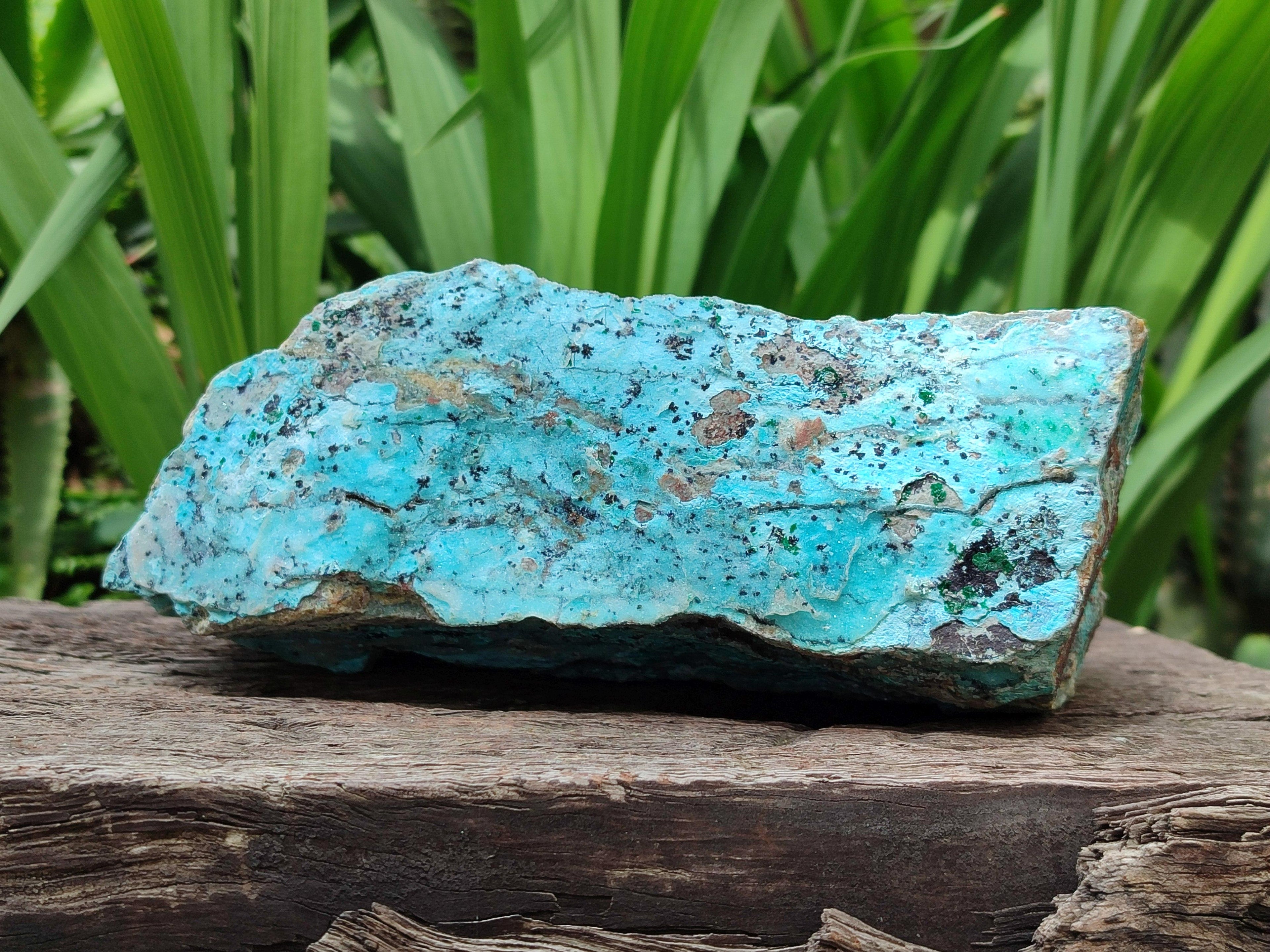 Natural Drusy Coated Chrysocolla On Dolomite Specimen x 1 From Lupoto Mine, Congo