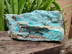 Natural Drusy Coated Chrysocolla On Dolomite Specimen x 1 From Lupoto Mine, Congo