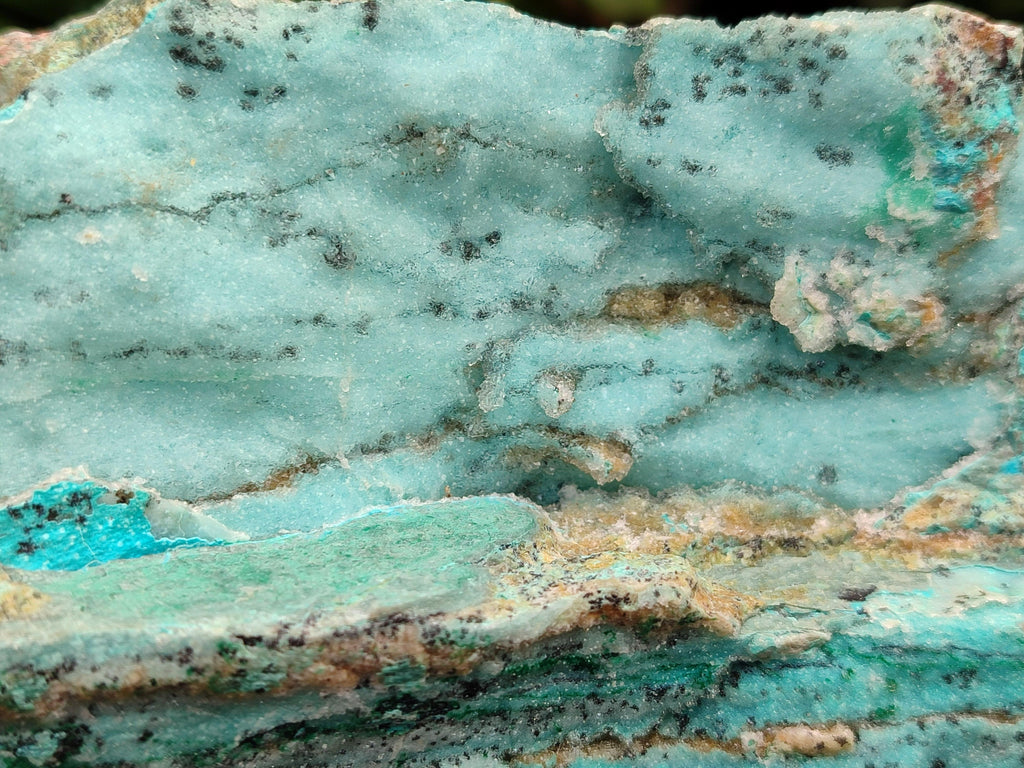 Natural Drusy Coated Chrysocolla On Dolomite Specimen x 1 From Lupoto Mine, Congo