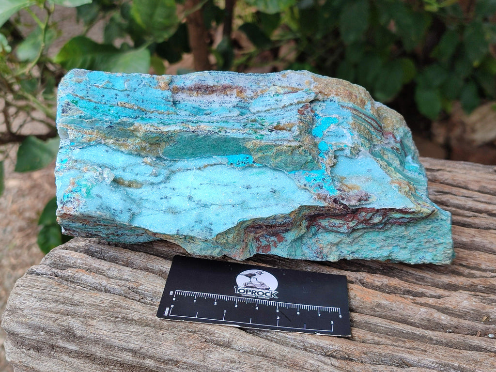Natural Drusy Coated Chrysocolla On Dolomite Specimen x 1 From Lupoto Mine, Congo