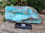 Natural Drusy Coated Chrysocolla On Dolomite Specimen x 1 From Lupoto Mine, Congo