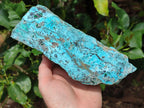 Natural Drusy Coated Chrysocolla On Dolomite Specimen x 1 From Lupoto Mine, Congo