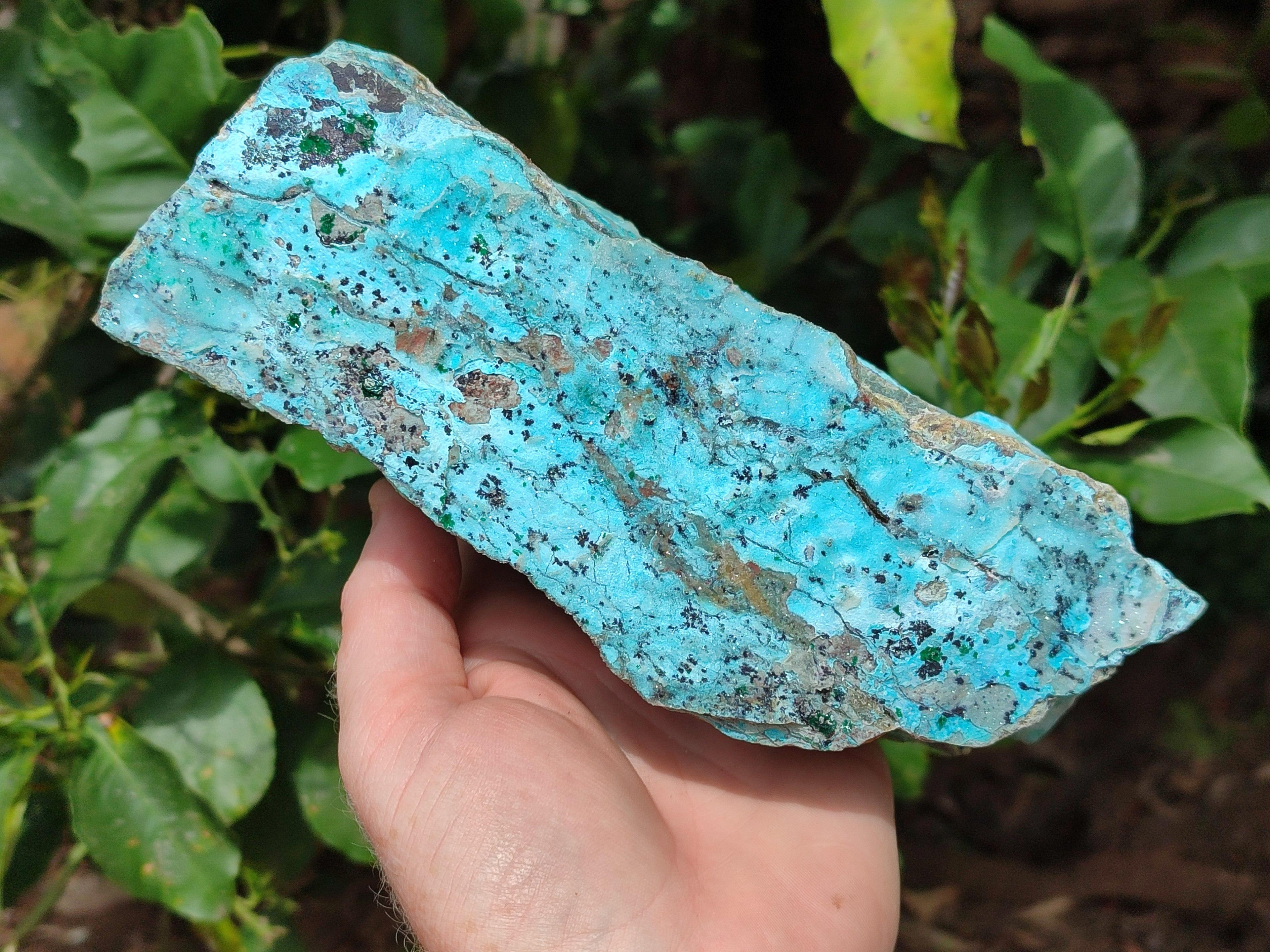 Natural Drusy Coated Chrysocolla On Dolomite Specimen x 1 From Lupoto Mine, Congo