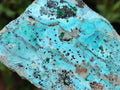 Natural Drusy Coated Chrysocolla On Dolomite Specimen x 1 From Lupoto Mine, Congo