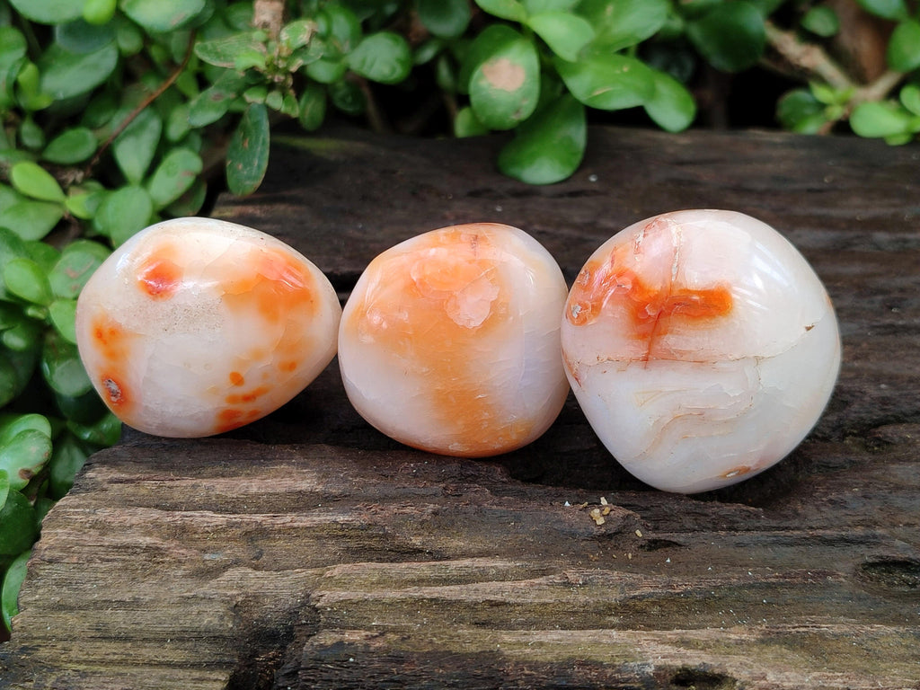 Polished Carnelian Agate Gemstone Galets x 20 From Madagascar