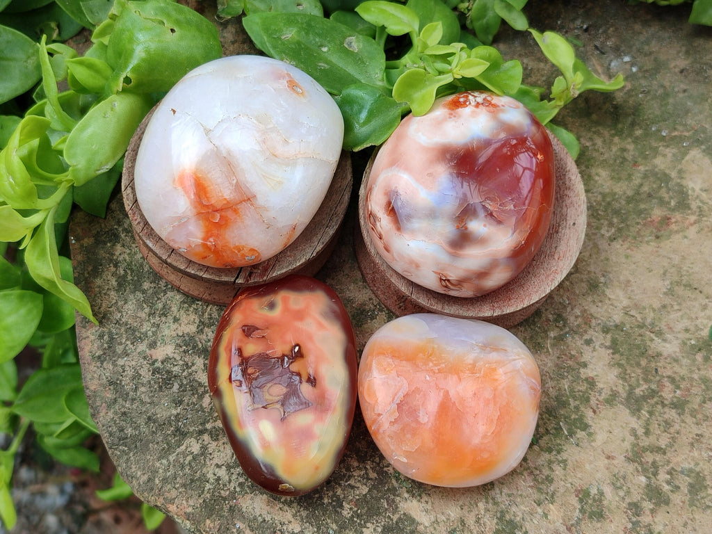 Polished Carnelian Agate Gemstone Galets x 20 From Madagascar