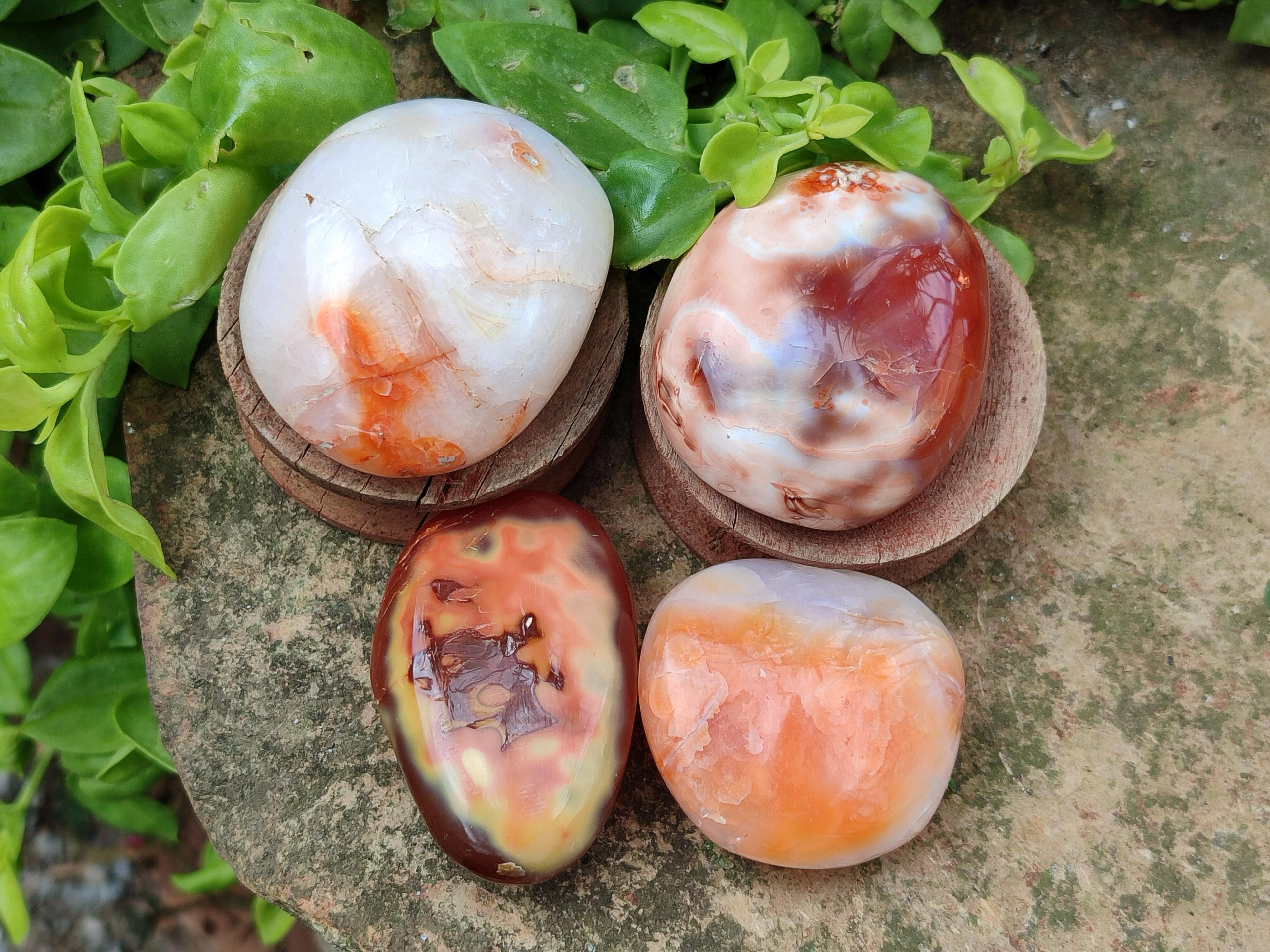 Polished Carnelian Agate Gemstone Galets x 20 From Madagascar