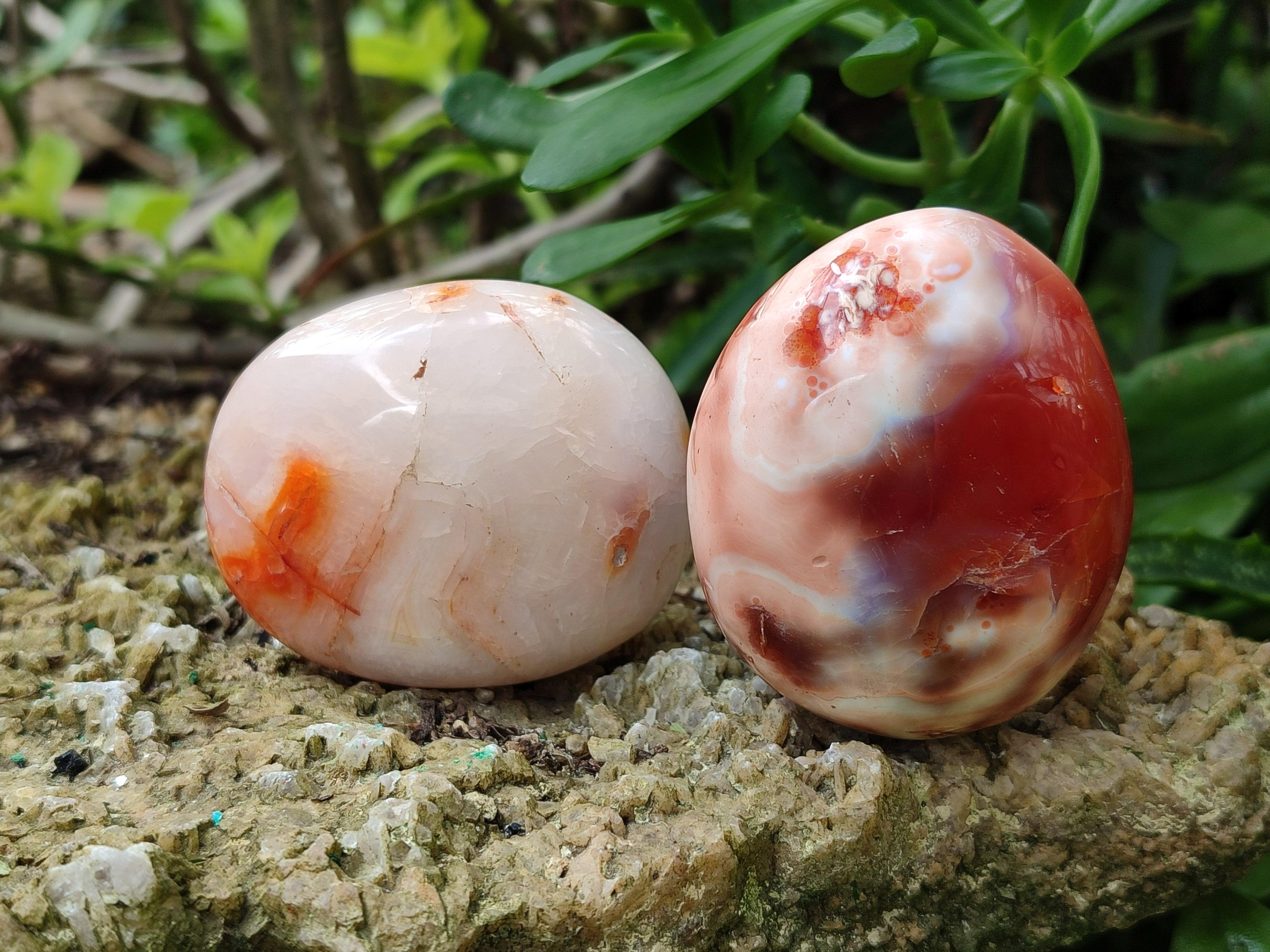 Polished Carnelian Agate Gemstone Galets x 20 From Madagascar