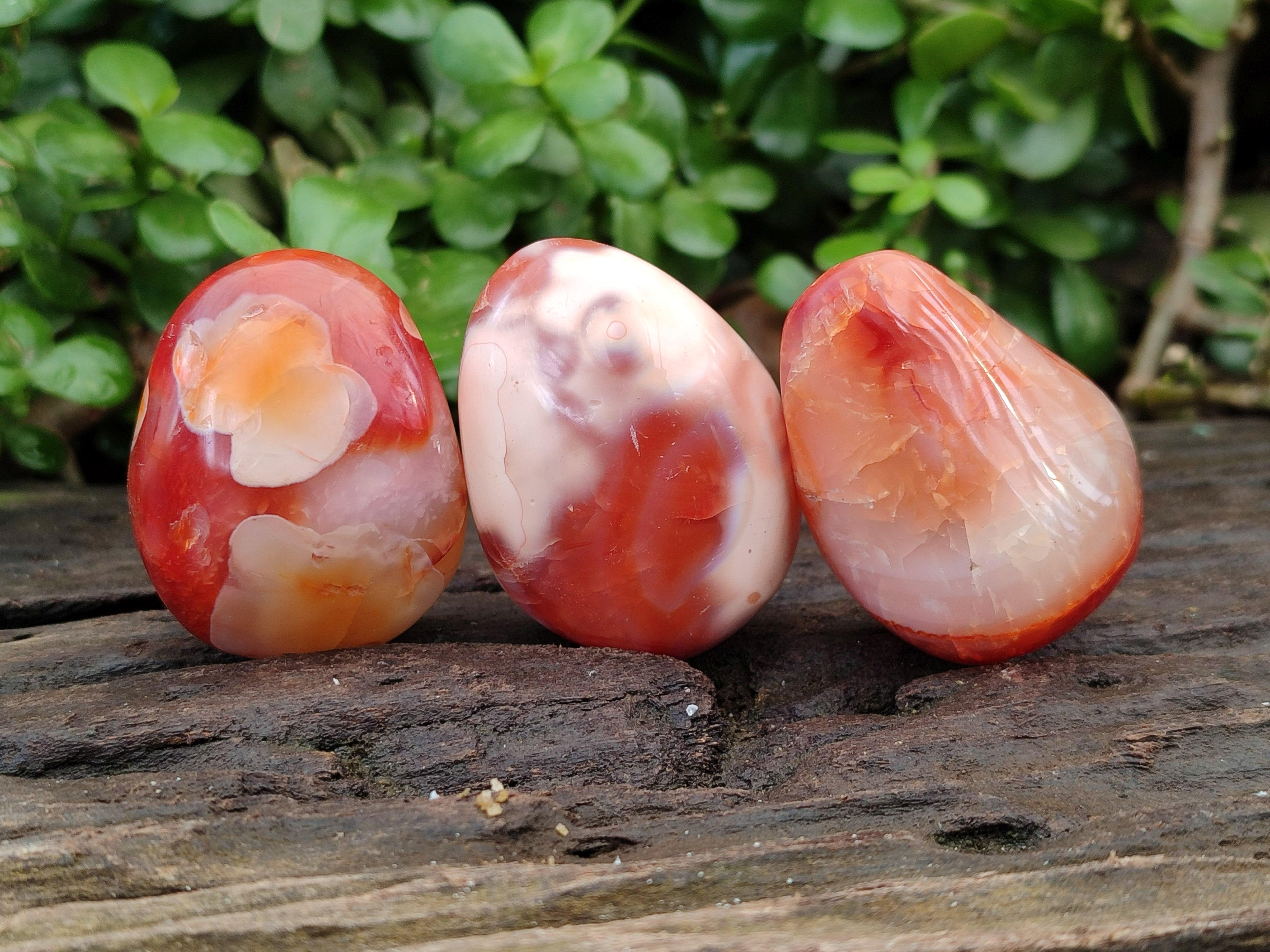 Polished Carnelian Agate Gemstone Galets x 20 From Madagascar