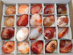 Polished Carnelian Agate Gemstone Galets x 20 From Madagascar