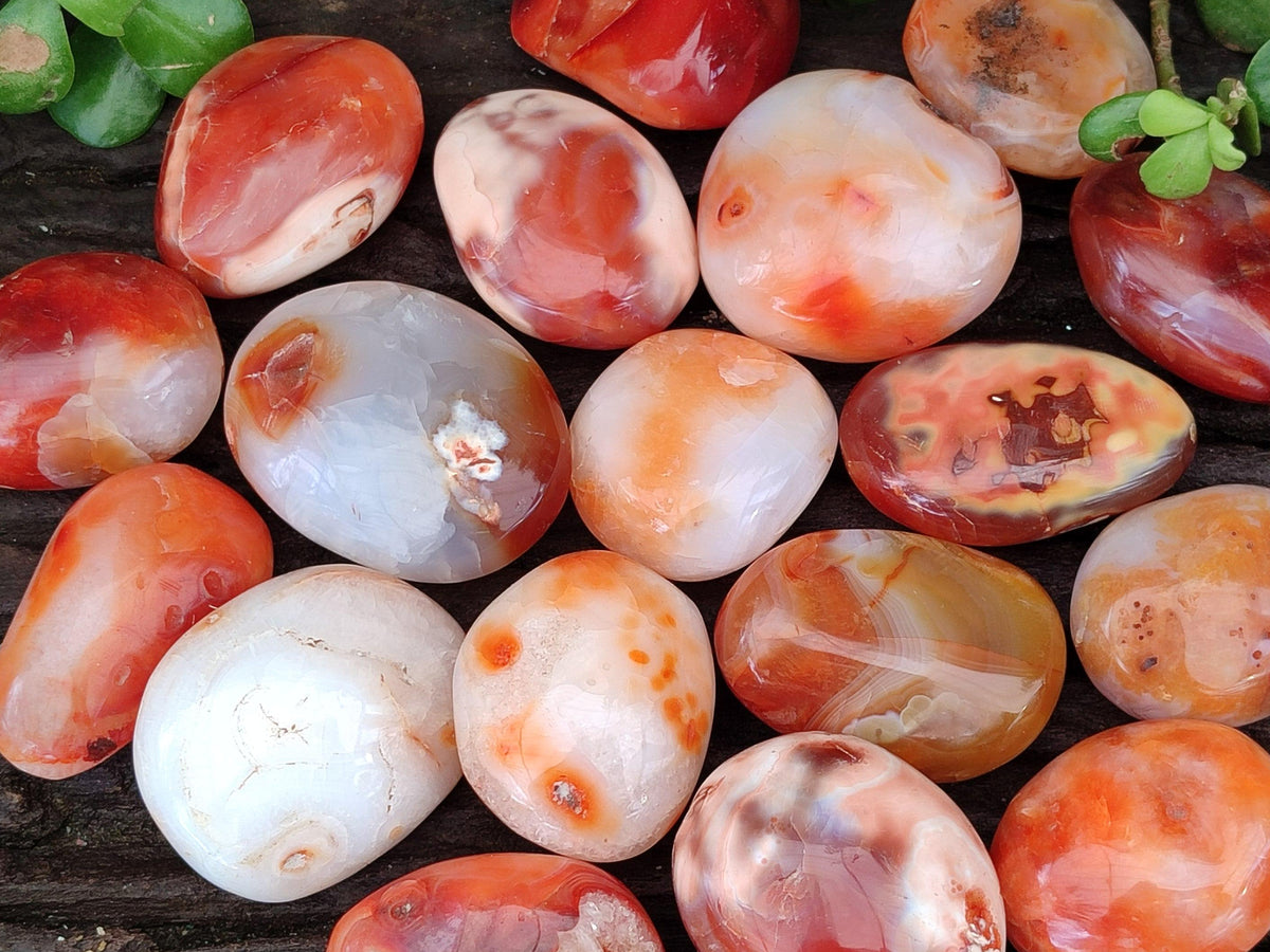 Polished Carnelian Agate Gemstone Galets x 20 From Madagascar