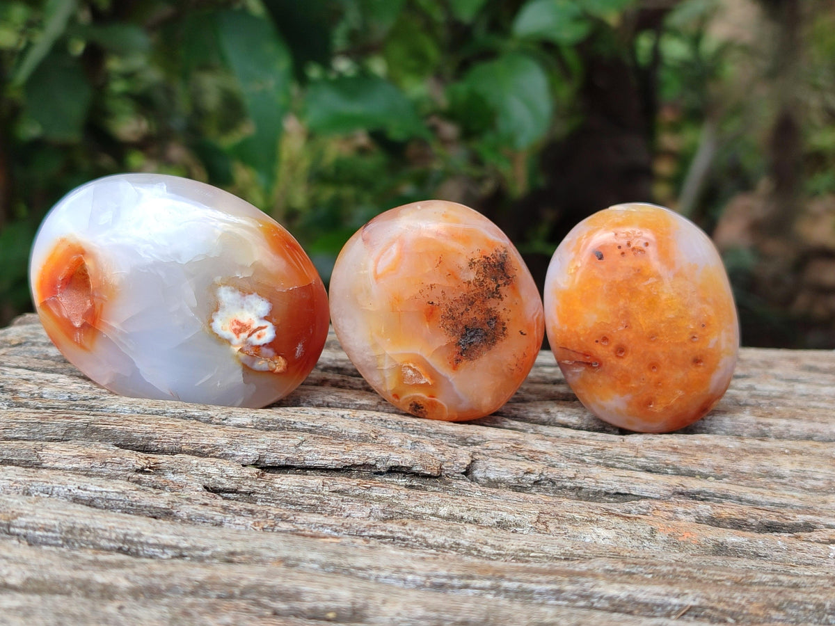 Polished Carnelian Agate Gemstone Galets x 20 From Madagascar