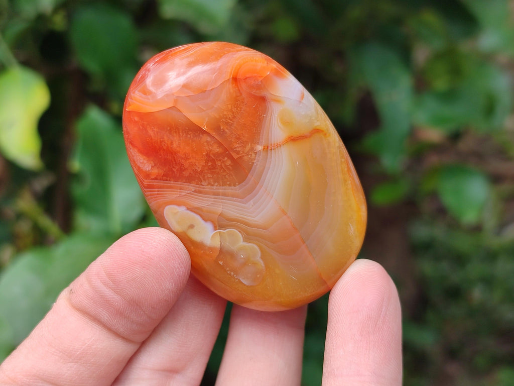 Polished Carnelian Agate Gemstone Galets x 20 From Madagascar