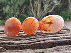 Polished Carnelian Agate Gemstone Galets x 20 From Madagascar