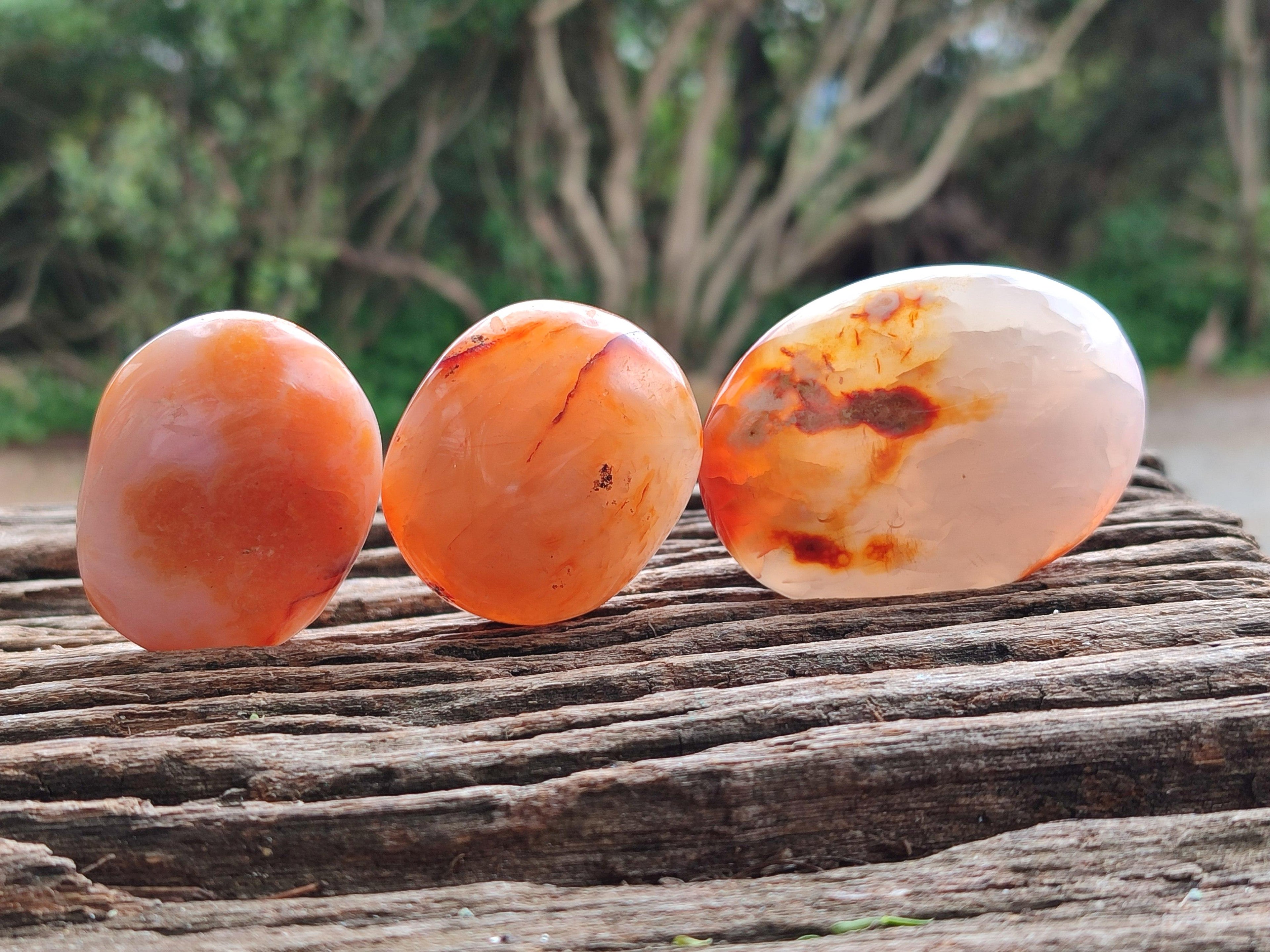 Polished Carnelian Agate Gemstone Galets x 20 From Madagascar
