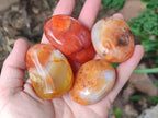 Polished Carnelian Agate Gemstone Galets x 20 From Madagascar